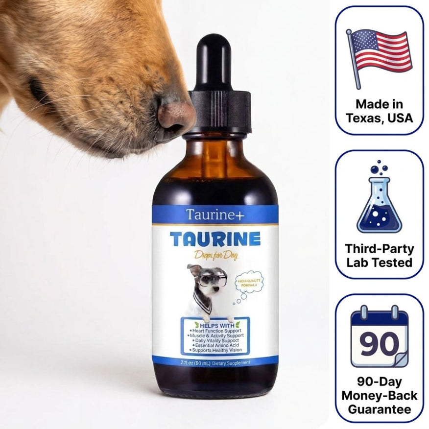 Taurine+ Liquid